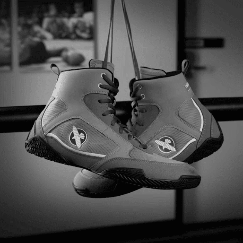 Hayabusa Pro Boxing Shoes 2025 Boxing Shoes Hayabusa