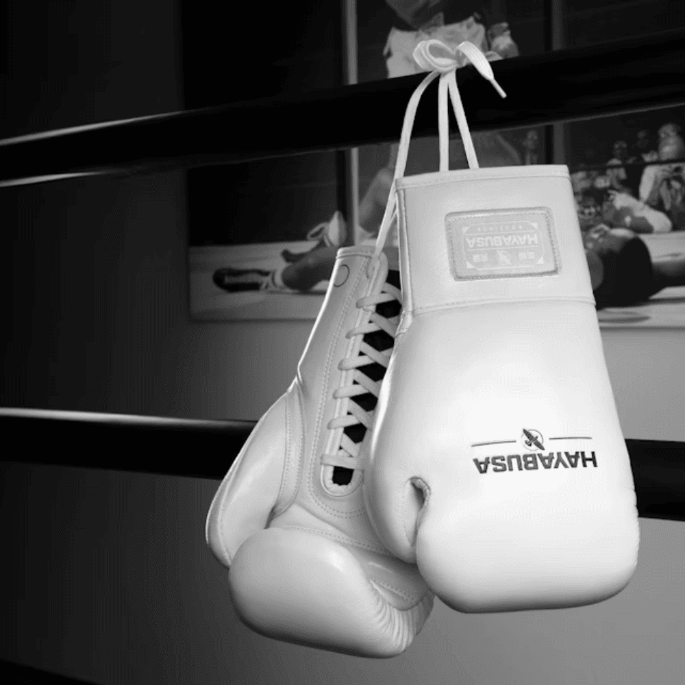 Hayabusa Pro Horsehair Fight Boxing Gloves Boxing Gloves Hayabusa