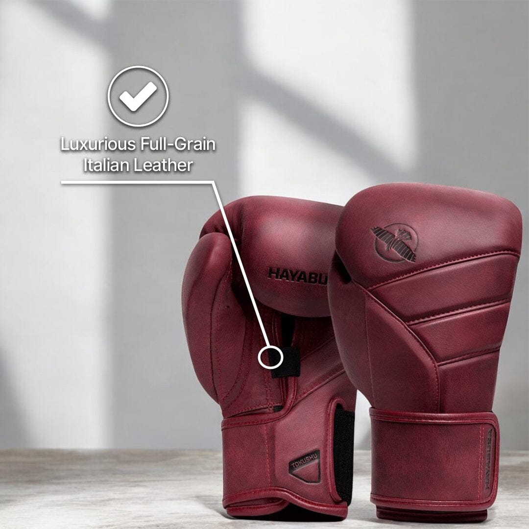 Hayabusa T3 LX Boxing Gloves Boxing Gloves Hayabusa