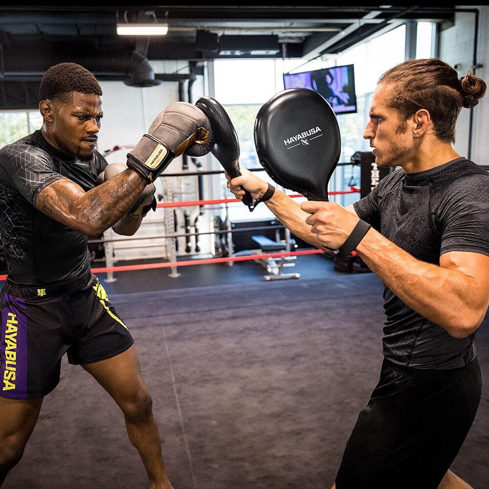 Hayabusa Boxing Target Paddles Punch Paddles Hayabusa