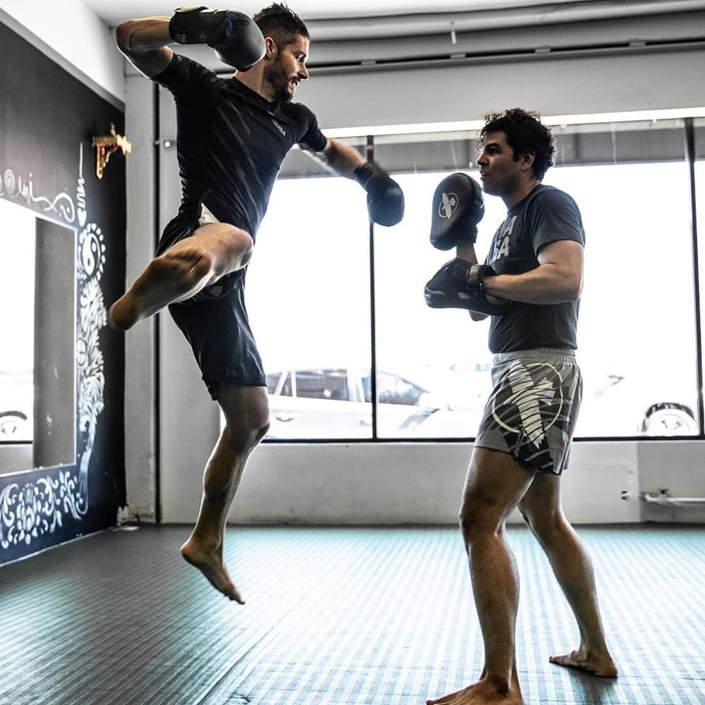 Hayabusa PTS 3 Focus Mitts Focus Mitts Hayabusa