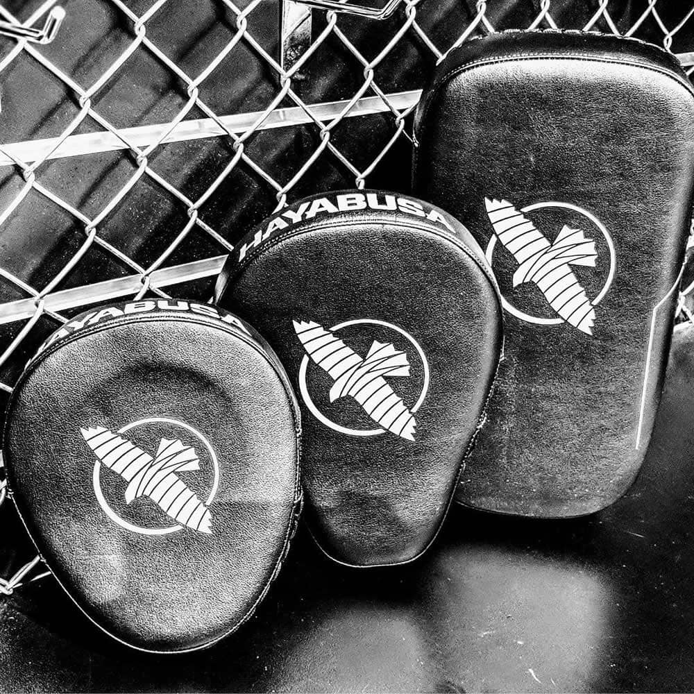 Hayabusa PTS 3 Micro Focus Mitts Focus Mitts Hayabusa