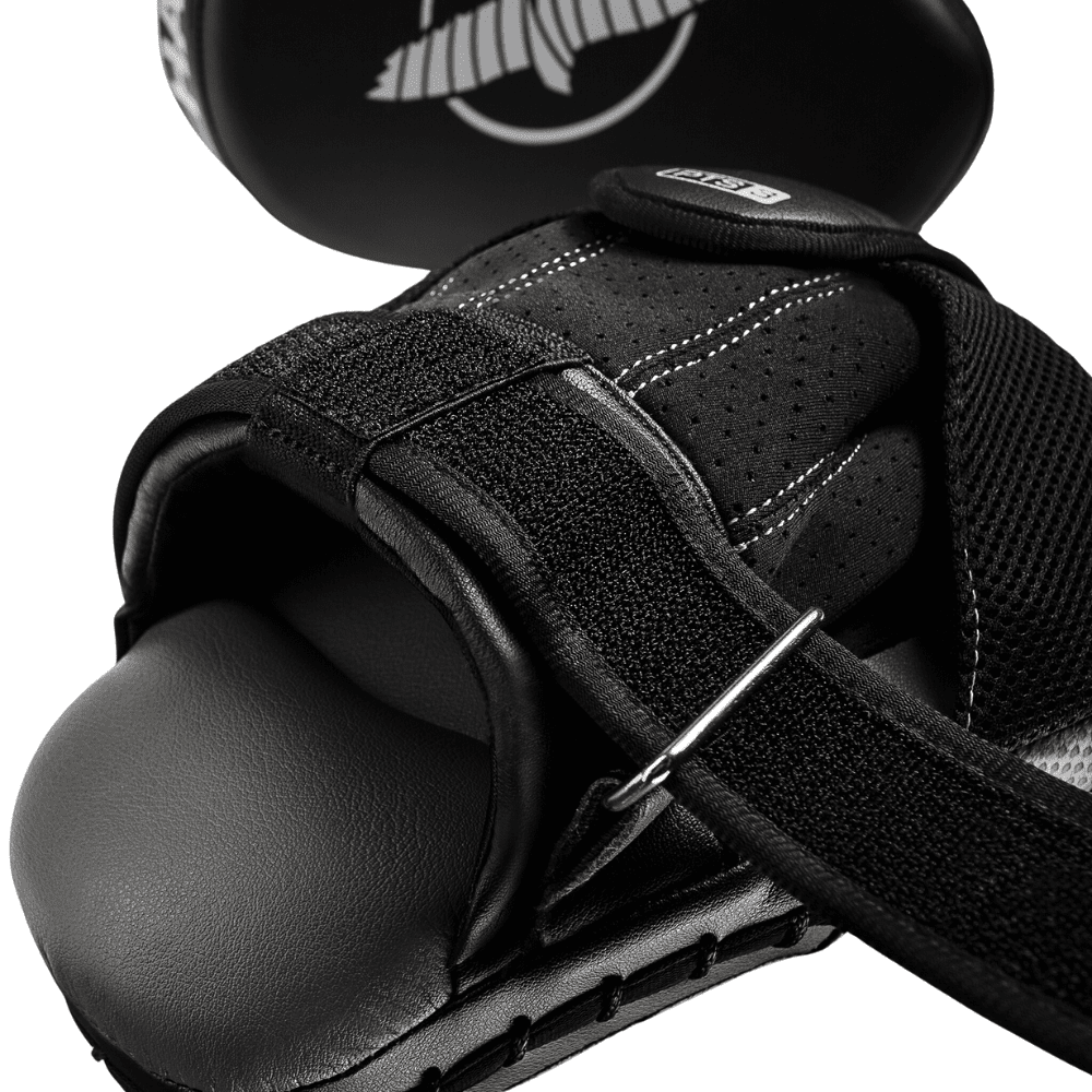 Hayabusa PTS 3 Focus Mitts Focus Mitts Hayabusa 