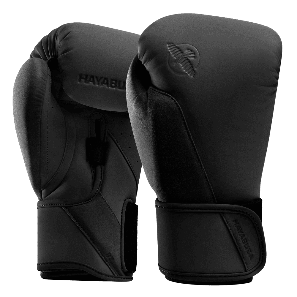 Hayabusa T360 Boxing Gloves Boxing Gloves Hayabusa Black 10oz 